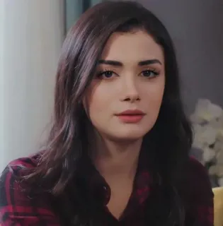 🍇 e1fdcdb3 telegram sticker