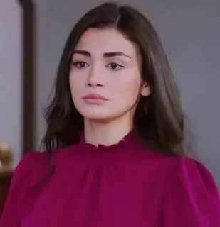 🍇 fe36b84b telegram sticker