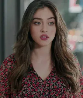 🍓 f9e4aadf telegram sticker