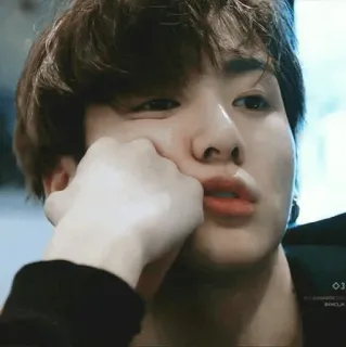 🐰 fe6edec9 telegram sticker