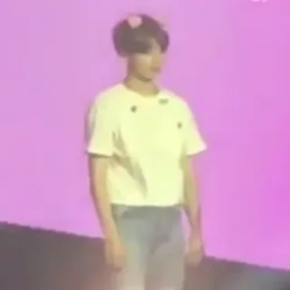 🦕 94742445 whatsapp sticker