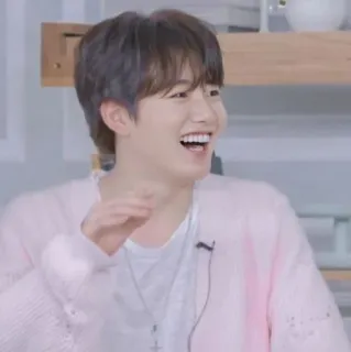 🪐 045006f5 coreano, hombre, sonriendo, rosa, feliz telegram sticker