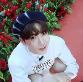 🪐 161bcbfd 흥칫뿡 persona, coreano, flores, sonrisa, lindo telegram sticker