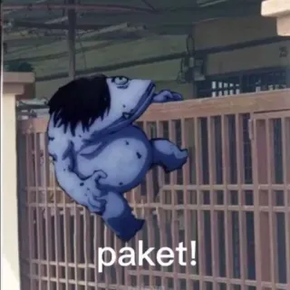 🫂 213f67d3 paket! katak, paket, pengiriman, lucu, meme, humor telegram sticker