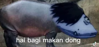 🫂 9b62eed6 hai bagi makan dong binatang, kuda nil, kartun, makanan telegram sticker