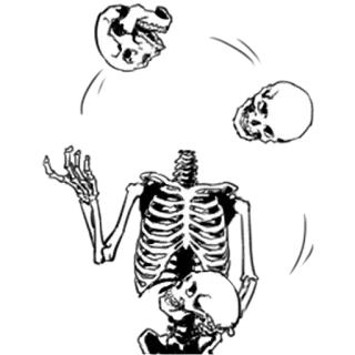 Груда костей 4 @nyasticks whatsapp stickers