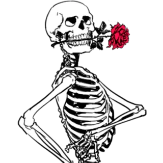 🌹 2119cb48 esqueleto, rosa, caveira, anatomia, morte, gótico telegram sticker
