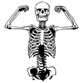 💪 7ea8c39f scheletro, ossa, anatomia, spaventoso, halloween, teschio, morte telegram sticker