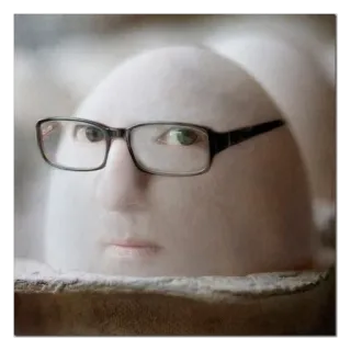 🤓 17cc868d jajko, twarz, okulary, zabawne, portret, stworzenie telegram sticker