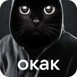 😮 db41cca4 окак kot, czarny kot, bluza z kapturem, rosyjski, zwierzę domowe, zwierzę, mem telegram sticker