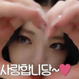 🐈‍⬛️ 4481a595 사랑합니당~ 愛, ハート, 韓国語, 挨拶, 表現, かわいい whatsapp sticker