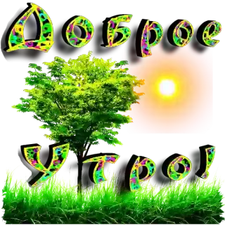 😚 689372cd Доброе утро! buongiorno, alba, albero, natura, saluto telegram sticker