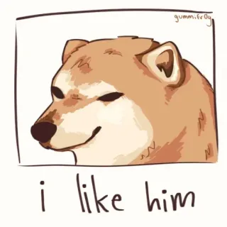 😌 17d0d92f Doge i like him dog, meme, cute, internet meme, doge, animal whatsapp sticker