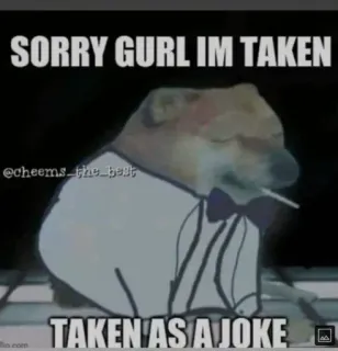 🥺 2fe64491 SORRY GURL IM TAKEN
@cheems_the_best
TAKEN AS A JOKE doge, meme, joke, taken, humor, cheems whatsapp sticker