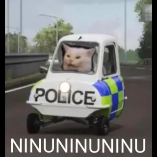 🚓 40bbb6e0 NINUNINUNINUNINU cat, police car, meme, funny, humor, animal, car, driving whatsapp sticker