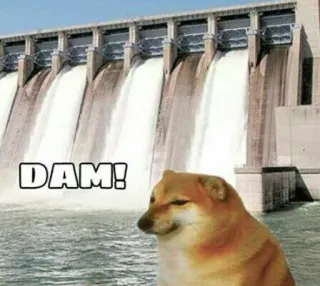 🌊 a2eea290 DAM! dam, doge, water, meme, animal, dog whatsapp sticker