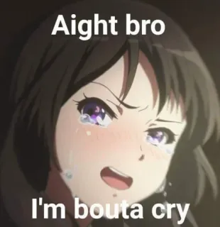 😭 cb03a51c Aight bro
I'm bouta cry anime, crying, sad, meme, emotional whatsapp sticker