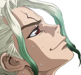 😌 0c805843 Senku Ishigami Dr. Stone Anime, Personaje, Dr. Stone, Senku, Ishigami, Expresión, Sudor whatsapp sticker