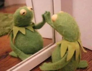 😊 1052f7db Kermit Kermit de Kikker, kikker, spiegel, reflectie, Muppet telegram sticker