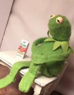 😐 6b4a80d5 Kermit Tropicana Kermit de Kikker, Muppet, Tropicana, sap, groen, kikker telegram sticker