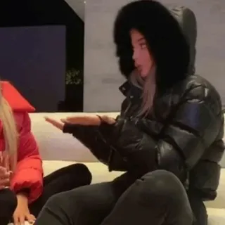 🦋 bee43d3b Frau, Winterjacke, sitzend, Outdoor telegram sticker