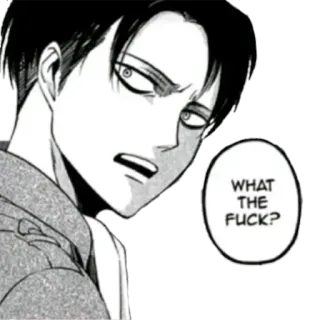 😒 1ef4ebab Levi Ackerman Attack on Titan WHAT THE FUCK? anime, attack on titan, levi ackerman, fluchen, was zum Teufel, sticker telegram sticker