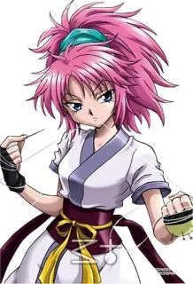 @ANIMEDUBBED_1 HUNTER X HUNTER telegram stickers