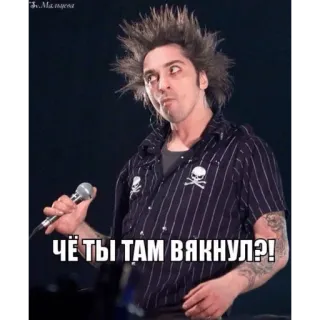 🤨 1a72d19c ЧЁ ТЫ ТАМ ВЯКНУЛ?! russisch, meme, punk, microfoon telegram sticker