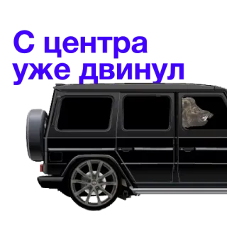 🚖 53cfeab7 С центра уже двинул mobil, suv, mercedes, binatang, mengemudi whatsapp sticker