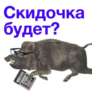 🔑 73708525 Скидочка будет? babi hutan, kalkulator, kacamata, diskon, pertanyaan whatsapp sticker