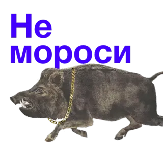 🖕 7bb4f98b Не мороси babi hutan, binatang, rantai, rusia, teks whatsapp sticker