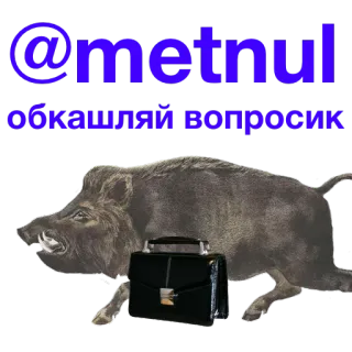 Kabanchikom telegram stickers