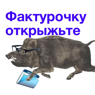 🗒 a2b41526 Фактурочку Открыжьте babi hutan, kacamata, dokumen, hewan, folder whatsapp sticker