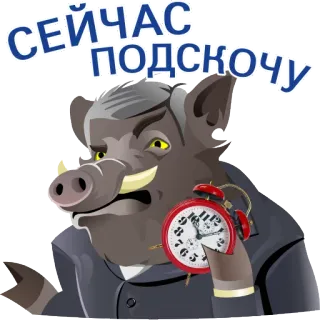 👞 d135d0c8 СЕЙЧАС ПОДСКОЧУ Kartun, Babi, Jam alarm, Menunggu, Berpakaian, Cepat, Tidak sabar telegram sticker