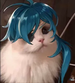 👀 f4e025d5 Kaeya Genshin Impact mèo, meme, gaming, Genshin Impact, Kaeya, nhân vật telegram sticker