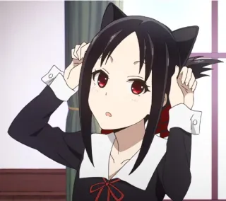 ❤️ 50aa6d13 Kaguya Shinomiya Kaguya-sama: Love Is War アニメ, かぐや, 猫耳, 四宮, かぐや様, ラブライブ telegram sticker
