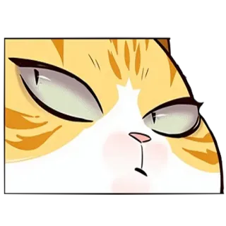 🤭 16808793 kot, naklejka, kreskówka, zwierzę, słodki, mem telegram sticker