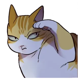 🧐 1bb144d6 kot, zwierzę, naklejka, zły, kreskówka telegram sticker