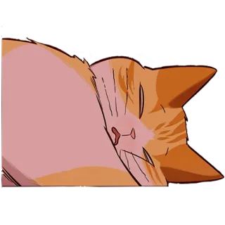 🥱 3a322644 kot, zwierzę, pomarańczowy, zwierzak, koci telegram sticker