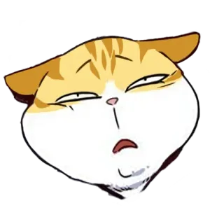 😫 65df5bf0 kot, zwierzę, naklejka, wyrażenie, kreskówka telegram sticker
