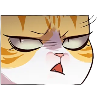 😤 6b1dfd3b kot, zły, sfrustrowany, zwierzę, naklejka, koci telegram sticker
