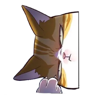 😑 8646d898 kot, naklejka, śmieszne, słodkie, zwierzę telegram sticker