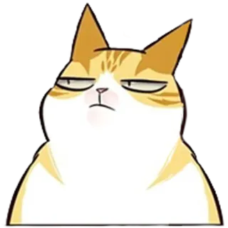 🙁 9fda21bd kot, zwierzę, naklejka, kreskówka, śmieszne, wyrażenie, ssak, zwierzę domowe telegram sticker