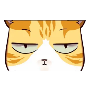 🤨 a51f458e kot, zwierzę, zwierzak, naklejka, rudy pręgowany kot, kot domowy telegram sticker