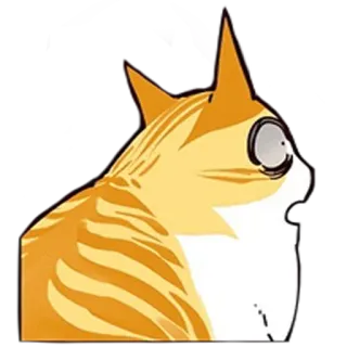 😦 cead9dee kot, zaskoczony, pomarańczowy, zszokowany, zwierzę, mem telegram sticker