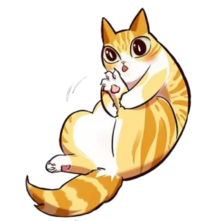 🐱 f55dca57 kot, kociak, słodki, zwierzę, śmieszny, domowy telegram sticker