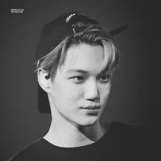 🗝 1d65df9b whatsapp sticker