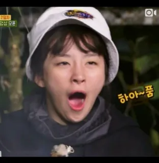 💘 ac4e197b 하아~품 あくび, 女性, 退屈, 眠い telegram sticker