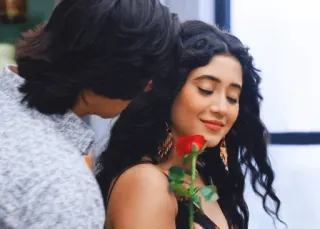 🌹 c536a96c 장미, 사랑, 로맨스, 커플, 꽃, 애정 telegram sticker