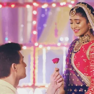 🌹 dfdcbaf4 인도, 신부, 신랑, 결혼, 커플, 로맨스, 장미 telegram sticker